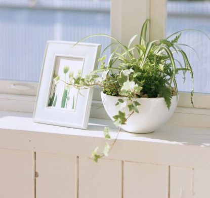 六大家居风水解密 保你一生健康