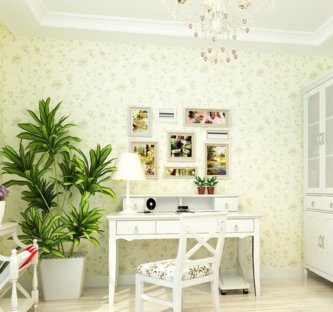 招财树摆放风水